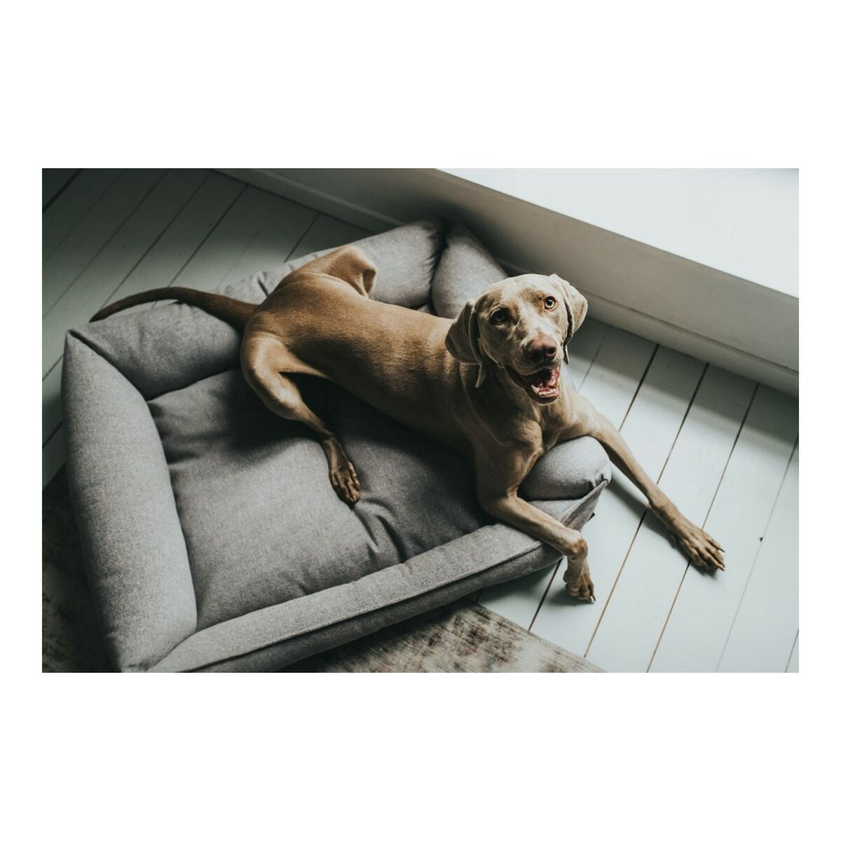 Hundesofa Hunter Prag 70 x 50 cm Grau