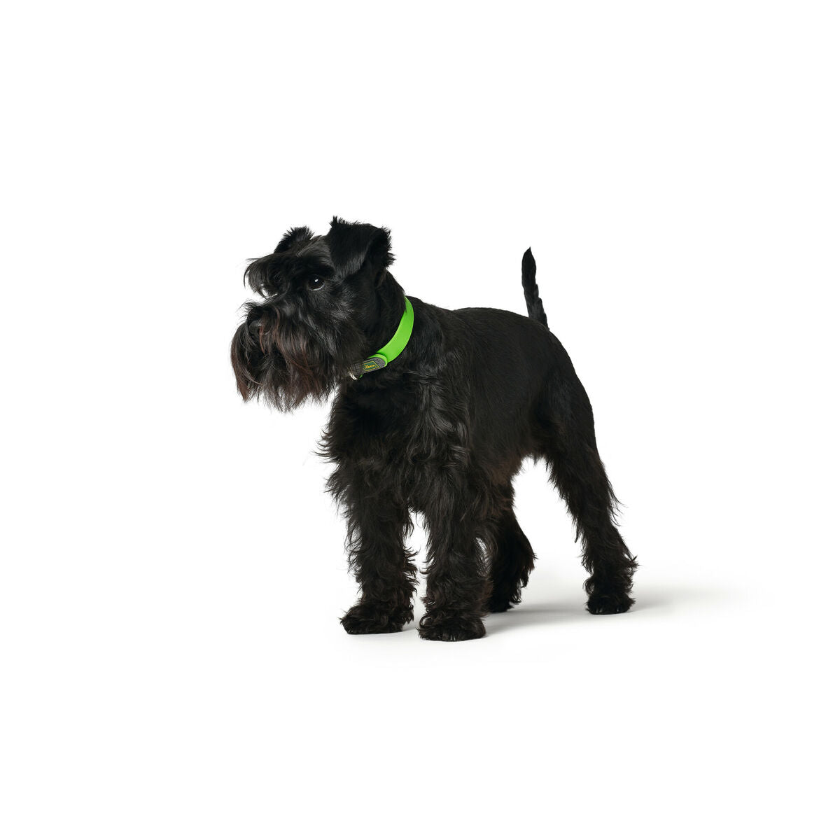 Hundehalsband Hunter Convenience 47-55 cm L grün